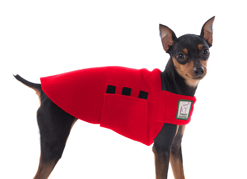 Mini Pinscher Coat Voyagers K9 Apparel