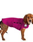 Beagle Tummy Warmer