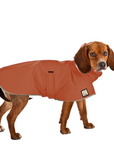 ReCoat ♻️ Like New: Beagle Raincoat