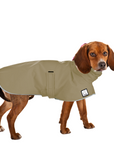 Beagle Raincoat