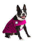 Boston Terrier Tummy Warmer