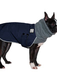 Boston Terrier Winter Coat