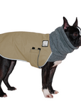 Boston Terrier Winter Coat