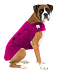 Boxer Tummy Warmer