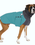 Boxer Winter Coat