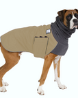 Boxer Winter Coat