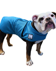 English Bulldog Cooling Coat
