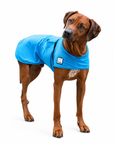 Rhodesian Ridgeback Cooling Coat