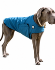 Great Dane Cooling Coat
