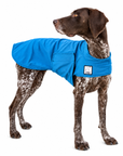 German Shorthaired Pointer Cooling Coat