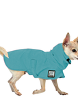 Chihuahua Raincoat