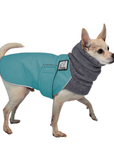 Chihuahua Winter Coat