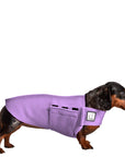 Dachshund Tummy Warmer