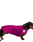 Dachshund Tummy Warmer