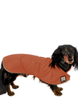 Dachshund Raincoat