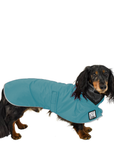 Dachshund Raincoat