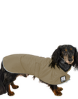 Dachshund Raincoat