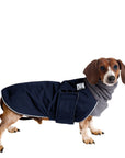Dachshund Winter Coat