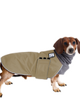 Dachshund Winter Coat