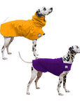 Dalmatian Camper Bundle