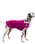 Dalmatian Tummy Warmer