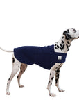 Dalmatian Tummy Warmer