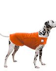 Dalmatian Tummy Warmer