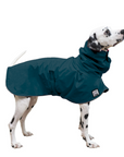 Dalmatian Raincoat