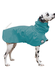 Dalmatian Raincoat