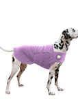 Dalmatian Tummy Warmer