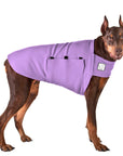Doberman Pinscher Tummy Warmer
