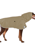 Doberman Pinscher Raincoat