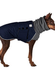 Doberman Pinscher Winter Coat