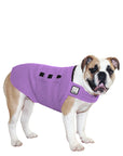 English Bulldog Tummy Warmer