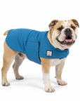 English Bulldog Cooling Coat
