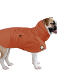 English Bulldog Raincoat