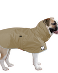 English Bulldog Raincoat