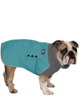 English Bulldog Winter Coat