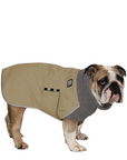 English Bulldog Winter Coat