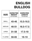 English Bulldog Cooling Coat