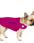 French Bulldog Tummy Warmer