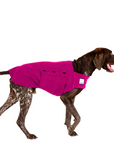 German Shorthaired Pointer Tummy Warmer