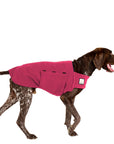 German Shorthaired Pointer Tummy Warmer