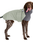 German Shorthaired Pointer Winter Coat
