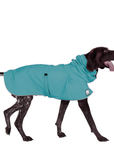 German Shorthaired Pointer Raincoat