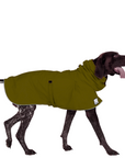 ReCoat ♻️ Like New: German Shorthaired Pointer Raincoat