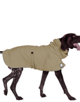 German Shorthaired Pointer Raincoat