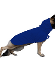 German Shepherd Raincoat