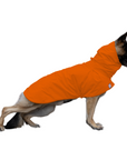 German Shepherd Raincoat