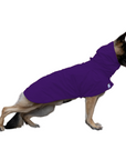 German Shepherd Raincoat